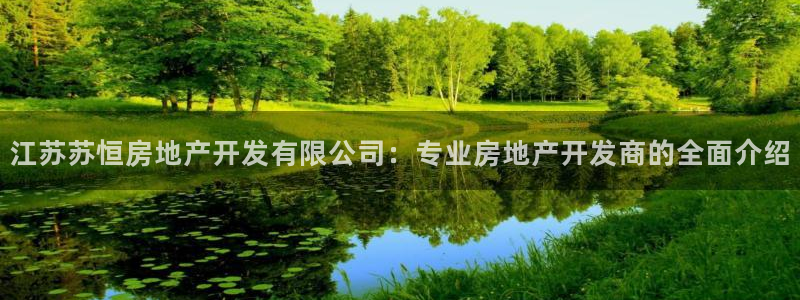 万向娱乐平台代理怎么做