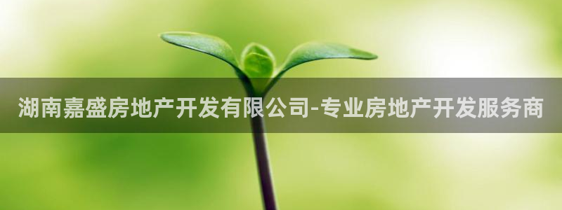 万向娱乐招商