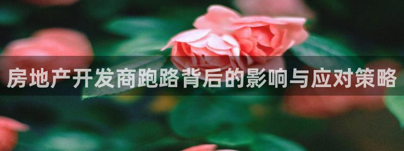 万向娱乐平台下载安装