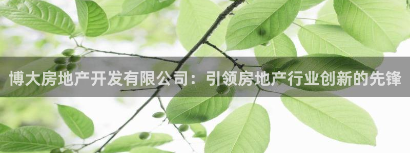 万向娱乐官网下载安卓