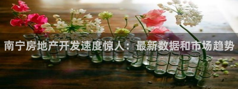 万向娱乐登陆官网