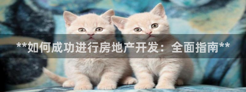 万向娱乐平台代理多少钱一个月