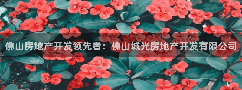 万向娱乐app下载苹果版