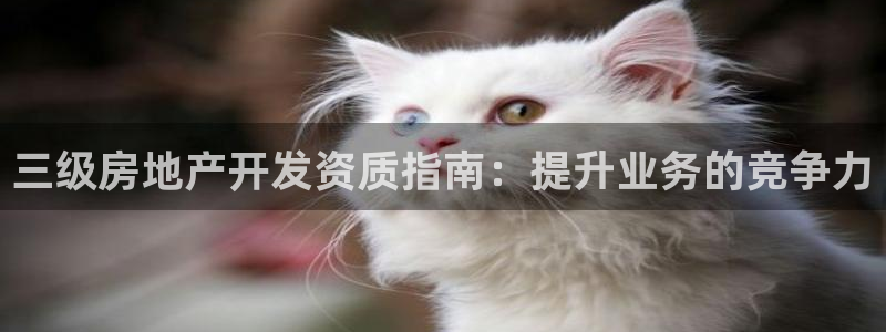 万能娱乐平台直招代理