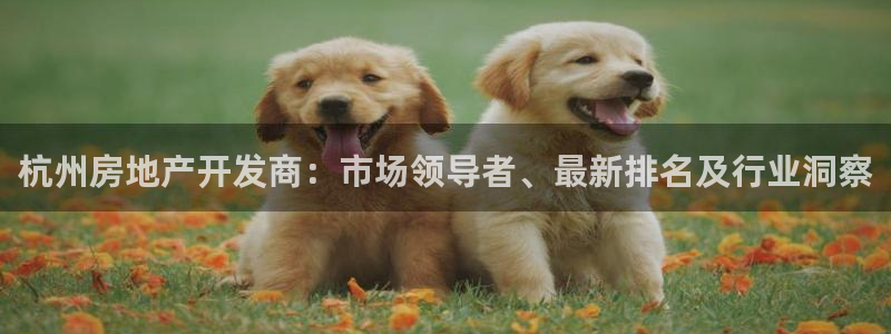 万向娱乐官网下载安装