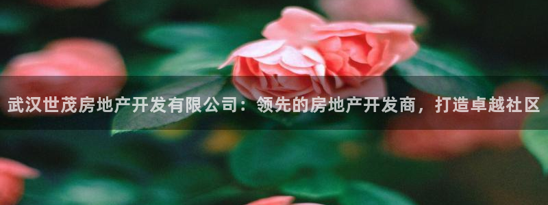 万向娱乐网址是什么
