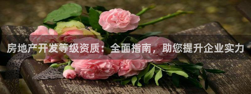 万向娱乐平台代理多少钱一个月