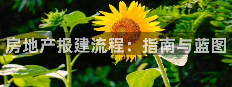 万向娱乐招商