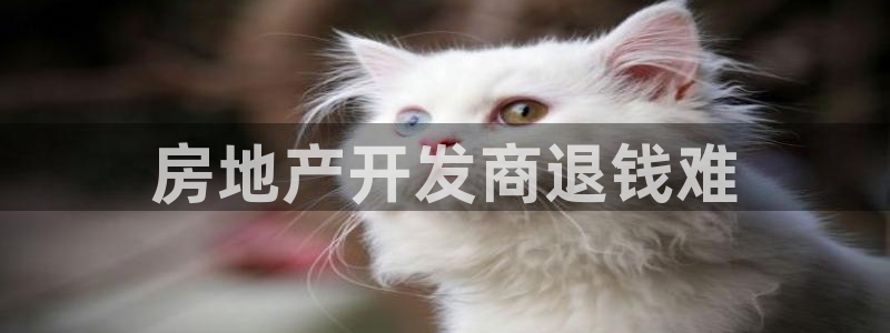 万向娱乐官网网址大全