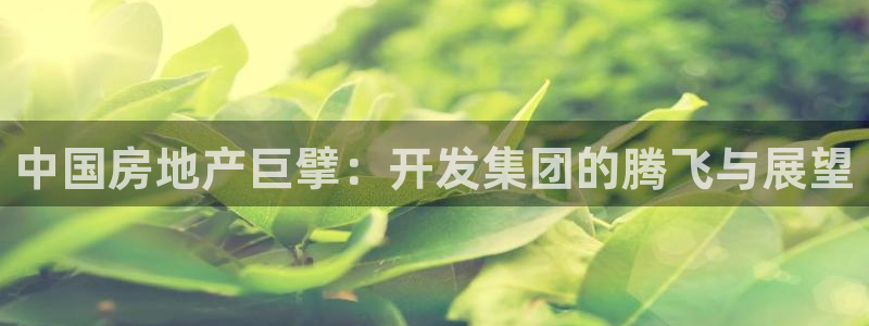 万向娱乐平台提现多久到账