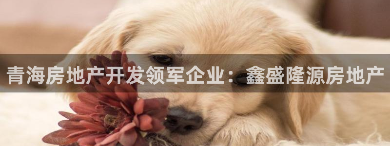 万向娱乐技术