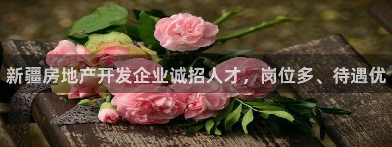 万向娱乐平台怎么下载