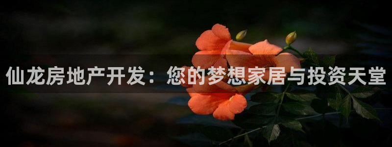 万向娱乐技术