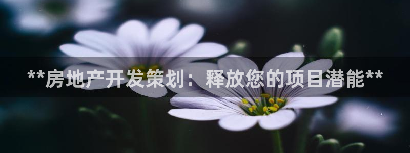 万向娱乐灯333OO