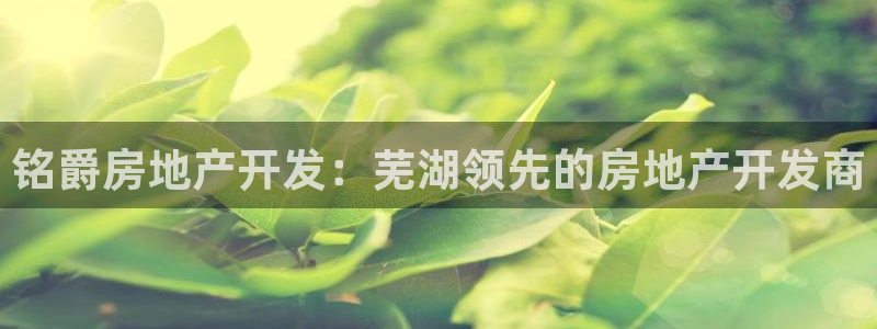万向娱乐app下载苹果版