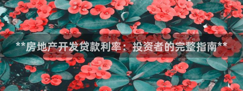 万向娱乐总代