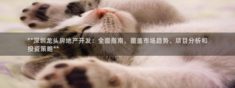 万向娱乐平台代理多少钱一个月