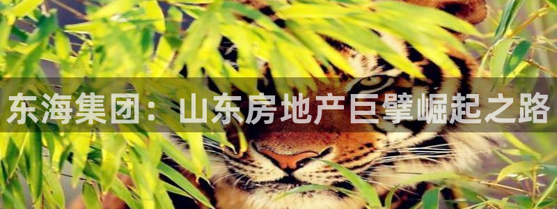 万向娱乐app