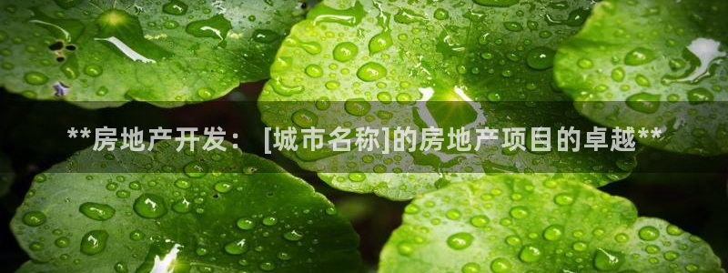 万向娱乐灯333OO