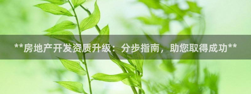 万向娱乐下载安装