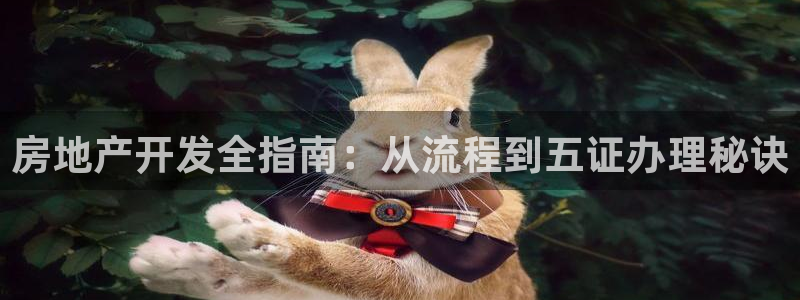 万向娱乐平台代理
