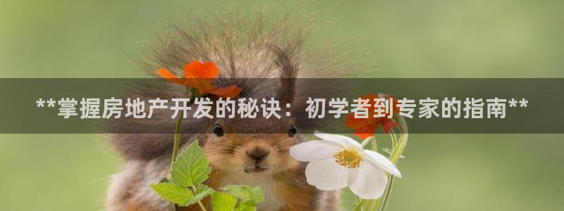 万向娱乐平台代理怎么做的
