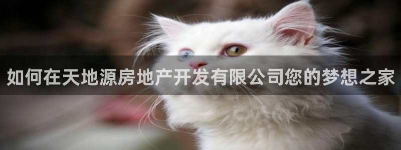 万向娱乐平台代理多少钱一年
