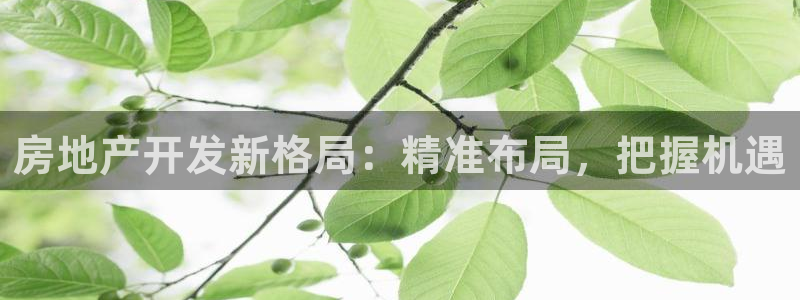 万向娱乐公司 585.34I 娱乐