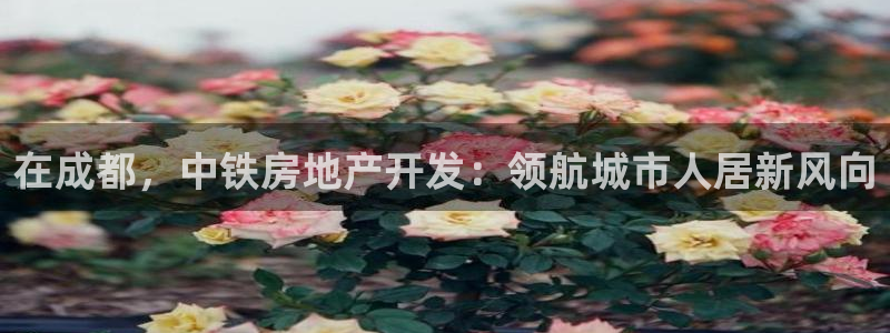 万向娱乐平台代理怎么做