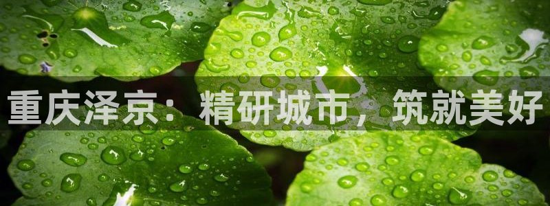 万向娱乐灯333OO