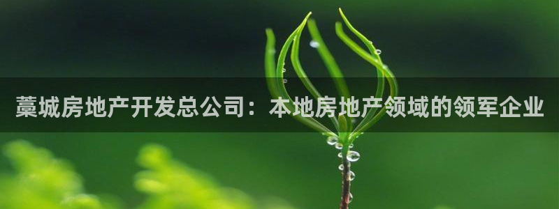 万向娱乐