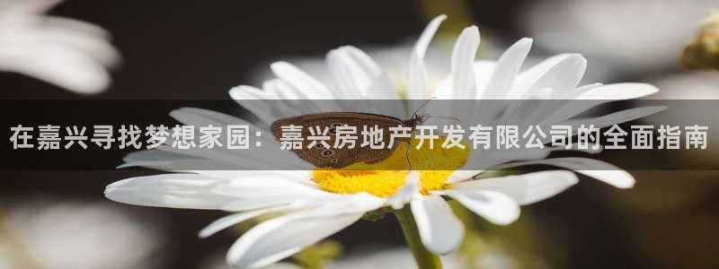 万向娱乐官网下载安装最新版
