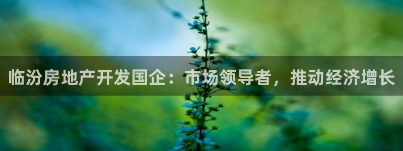 万向娱乐登陆官网下载