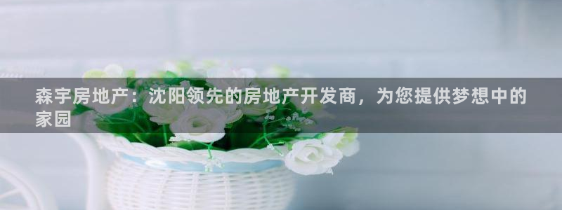 万向娱乐王者荣耀