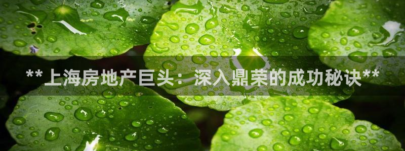 万向娱乐平台代理怎么样啊