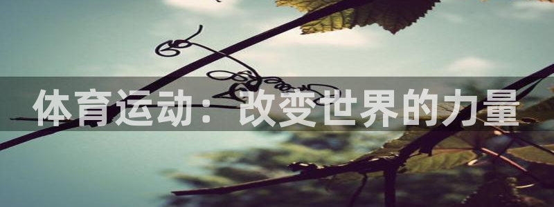 米兰体育综合官网