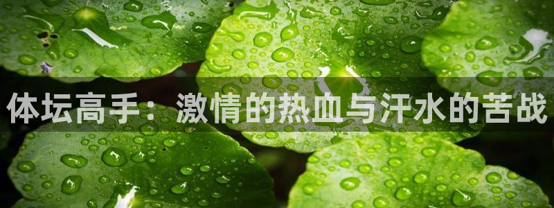 米兰体育场