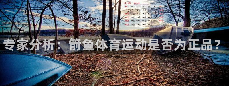 米兰体育场