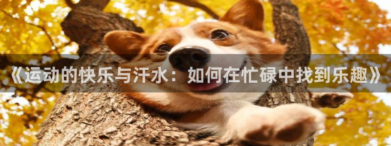 米兰体育报
